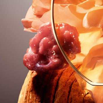 Element artistique combinant une texture organique rose et une courbe doree, sur fond de fleurs delicates.