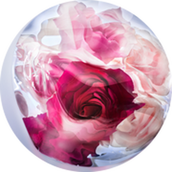 Lancome