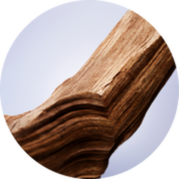 Un morceau de bois a texture ondulee, devoilant des couches naturelles dans des tons bruns, sur fond clair.