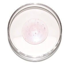 A clear petri dish containing a pink gel-like substance with small air bubbles.