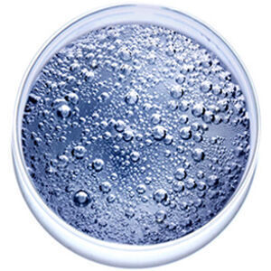 A clear, round glass filled with sparkling water, featuring numerous small bubbles rising to the surface.