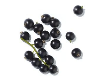 A cluster of glossy black currants with a few scattered berries on a white background.
