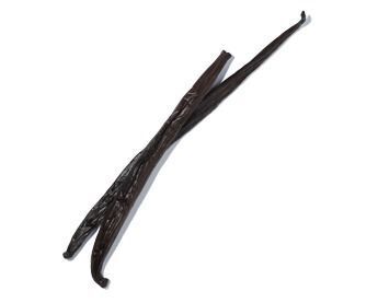 Two dark brown vanilla bean pods lying on a white background.