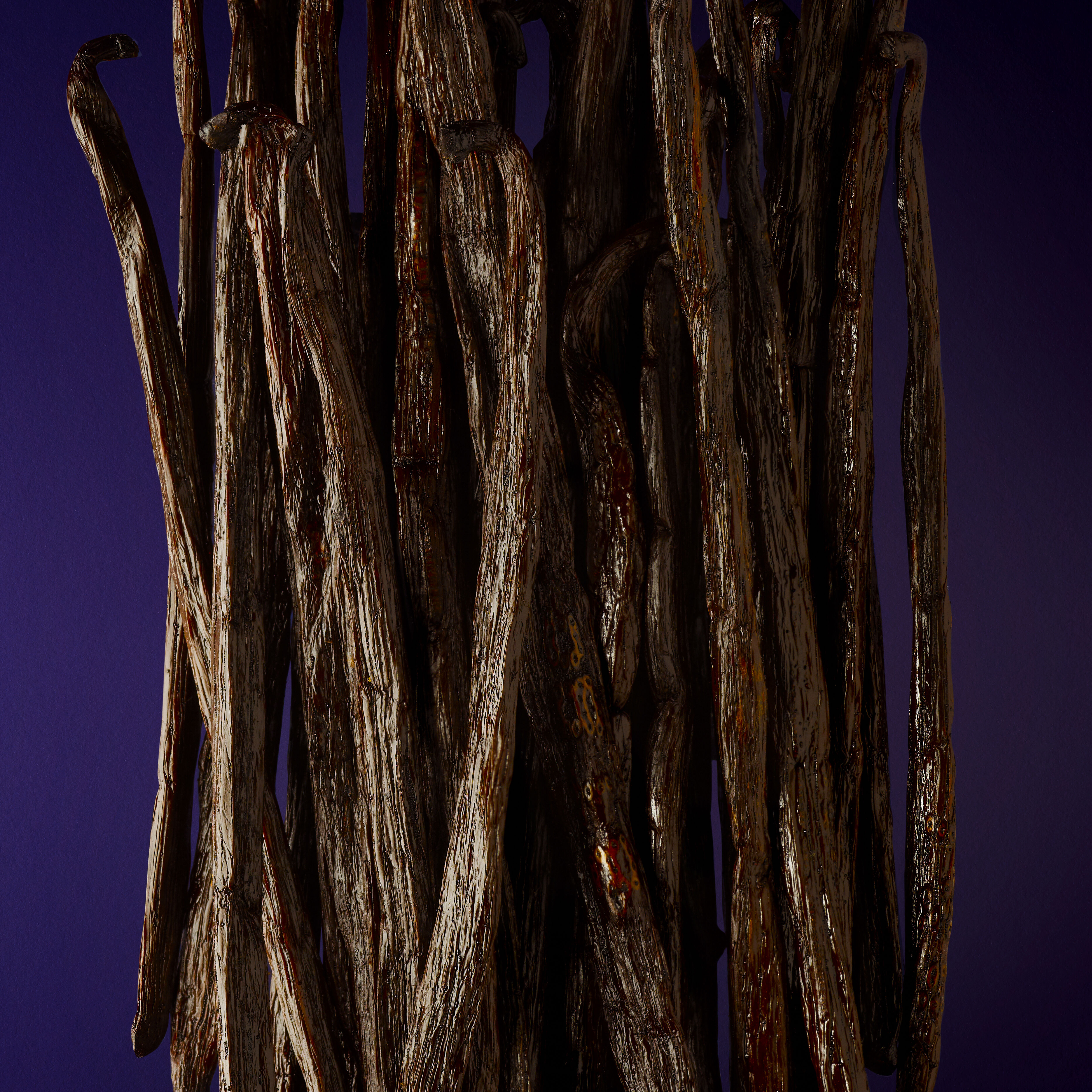 Two dark brown vanilla beans are displayed against a white background.