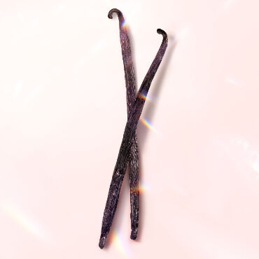 Deux gousses de vanille croisees sur un fond pastel.