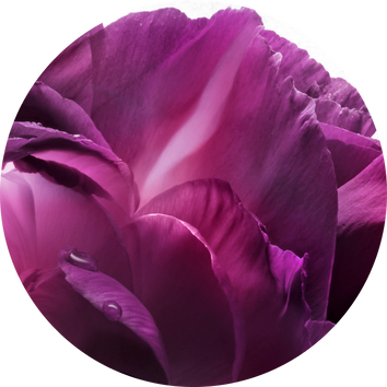 Lancome