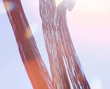 Close-up of textured, elongated strands resembling tree bark or natural fibers against a soft, blurred background.