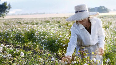 Lancome