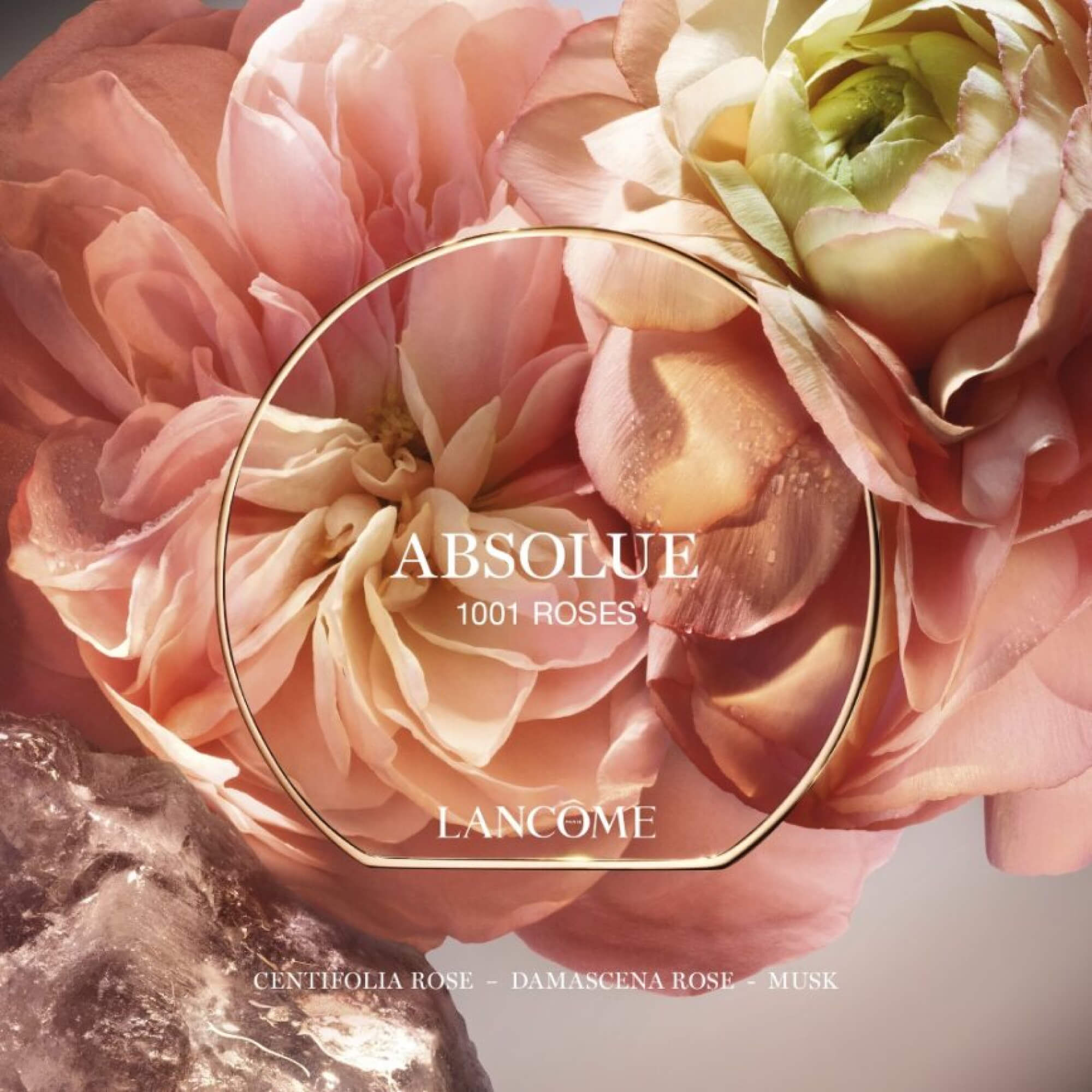1001 ROSES