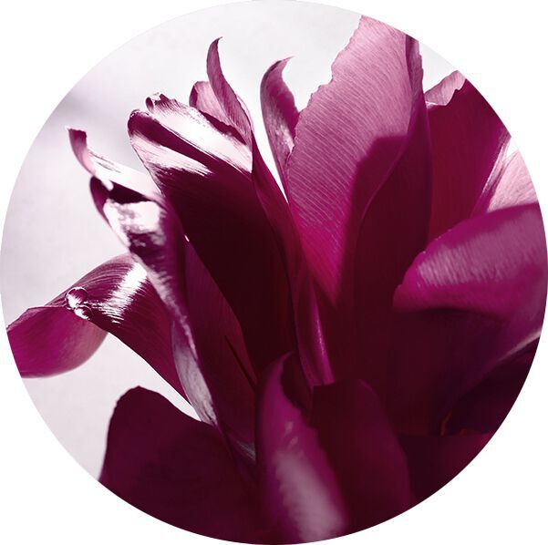 COEUR D'ESSENCE DE ROSE