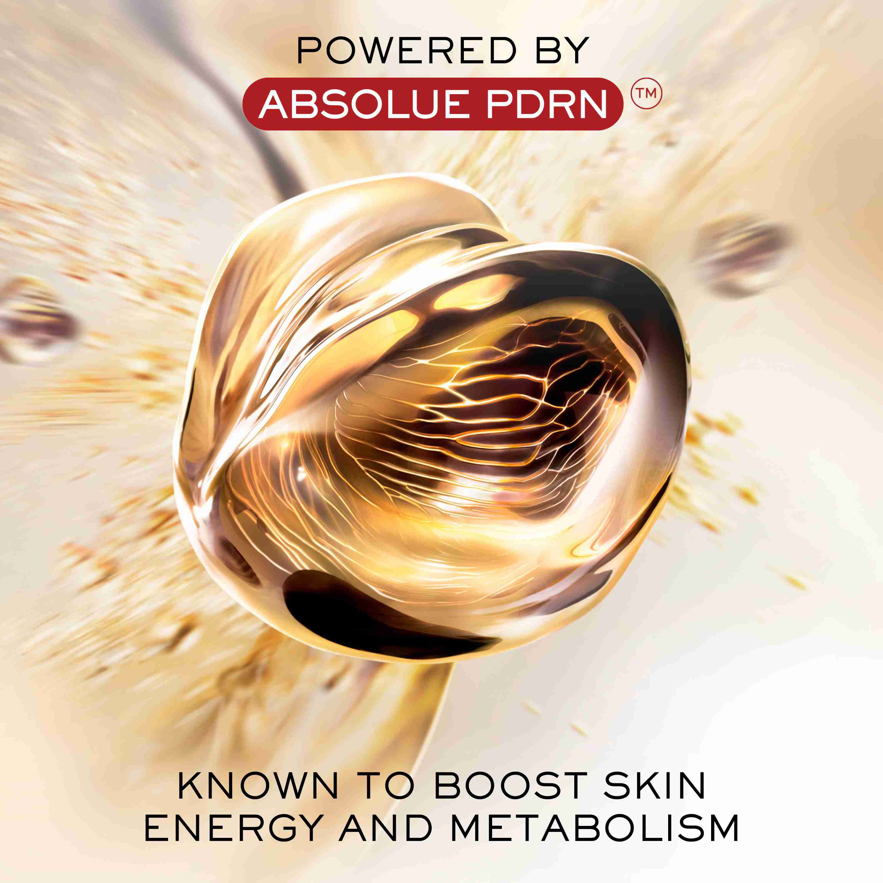 Absolue Longevity The Soft Cream