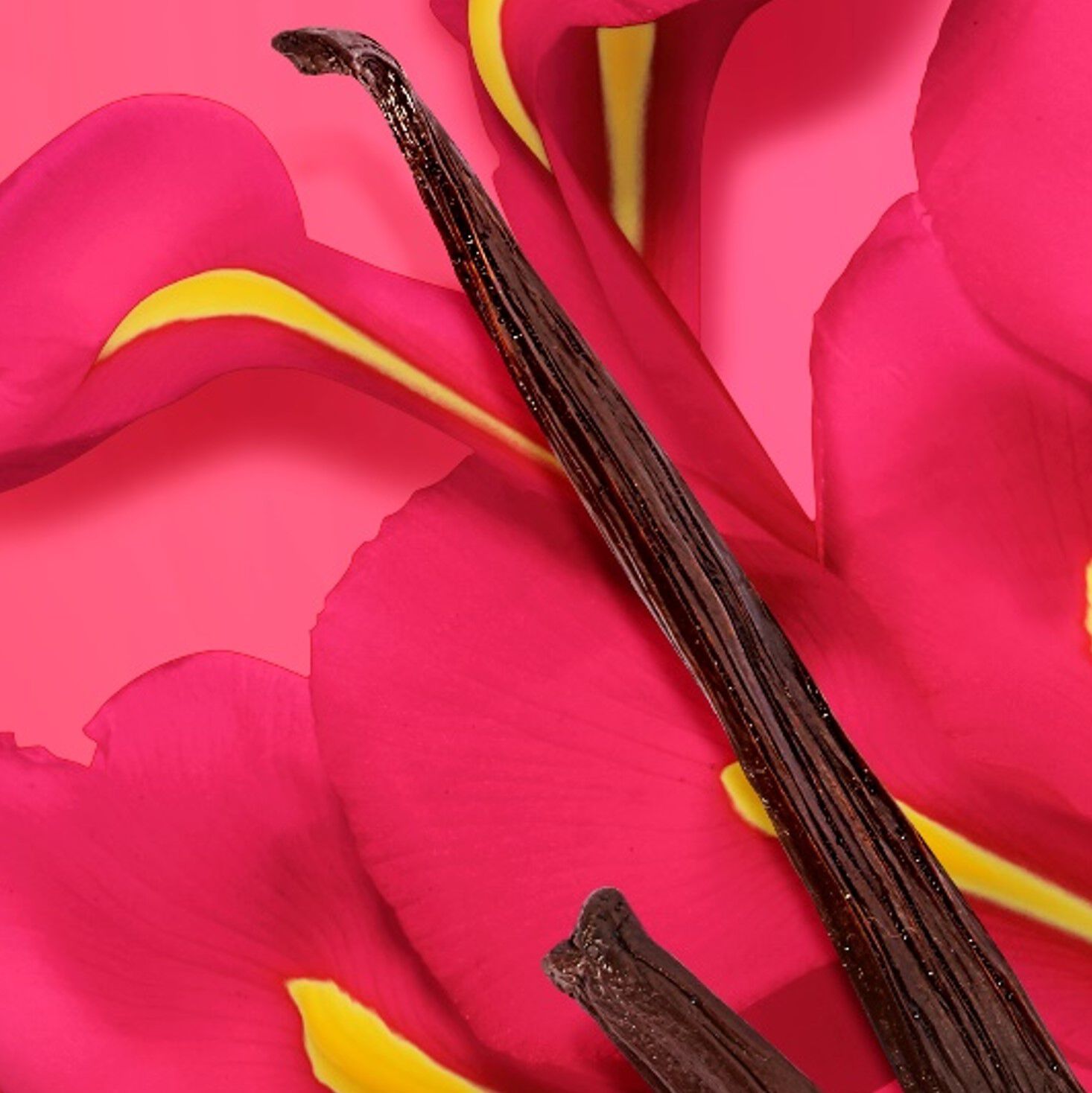 LA VIE EST BELLE INTENSEMENT HAPPINESS SHOT