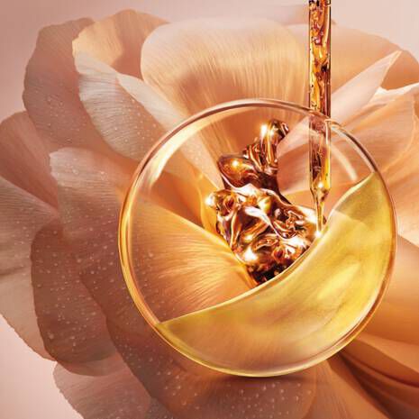 COFFRET CREME FONDANTE ABSOLUE 60ML