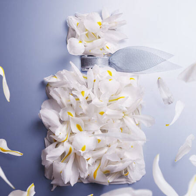 Flacon de parfum orné de pétales de fleurs blanches, sur un fond bleu, avec des pétales flottants autour.